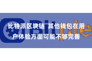 比特派区块链 其他钱包在用户体验方面可能不够完善