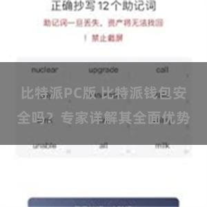 比特派PC版 比特派钱包安全吗？专家详解其全面优势