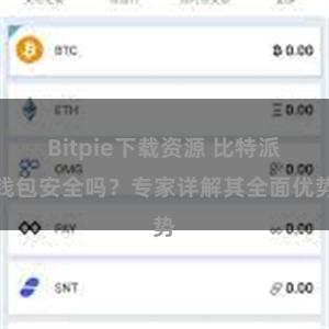 Bitpie下载资源 比特派钱包安全吗？专家详解其全面优势