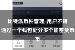 比特派币种管理  用户不错通过一个钱包处分多个加密货币
