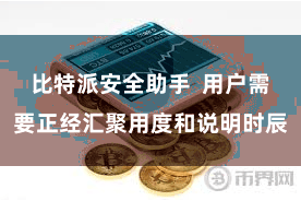 比特派安全助手  用户需要正经汇聚用度和说明时辰