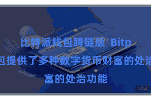 比特派钱包跨链版  Bitpie钱包提供了多种数字货币财富的处治功能