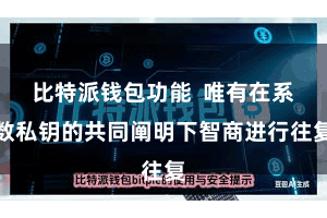 比特派钱包功能  唯有在系数私钥的共同阐明下智商进行往复
